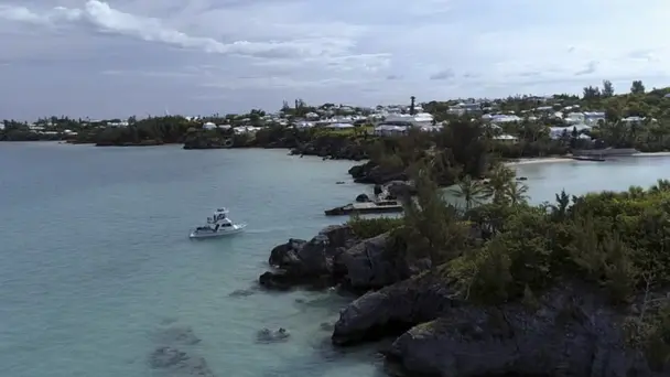 Monster in the Abyss