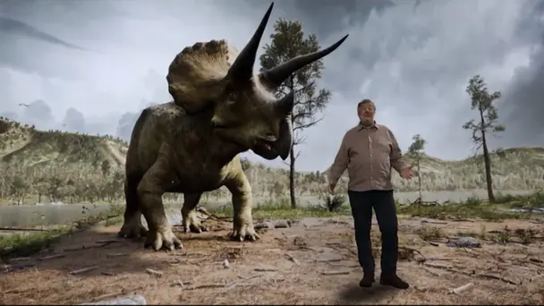 The Struggle to Sur...