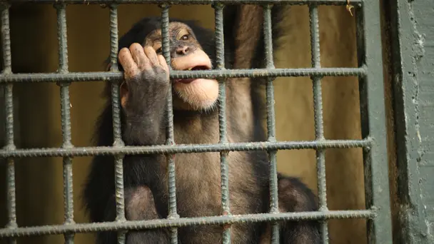 Estelle's Favorite ...