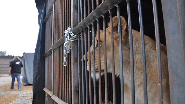 Greatest Show on Earth