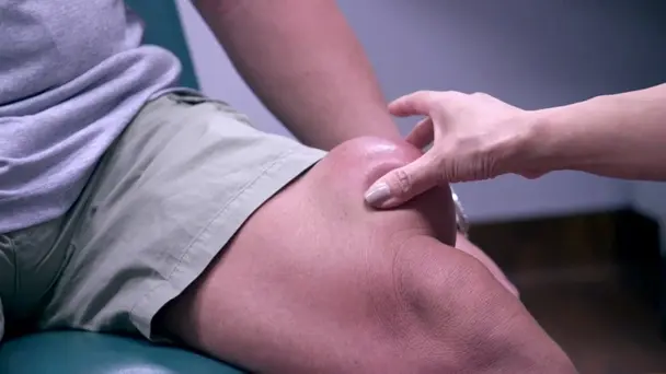 The World's Largest...