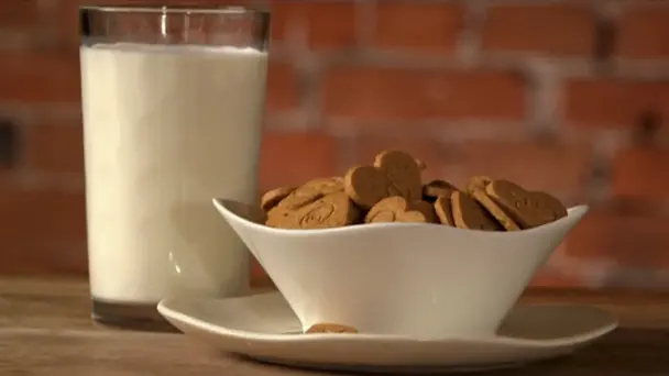 Gingersnaps  Ice Cream