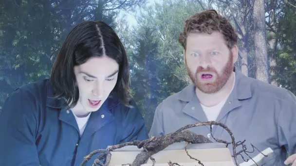 The Dank Web of Trees