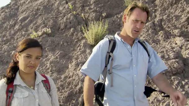 Will Europe Burn in...