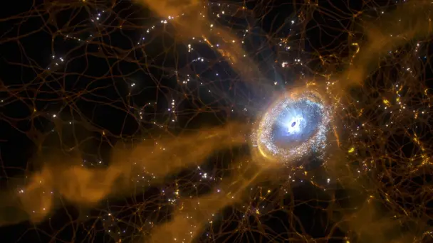 Secrets of the Cosm...