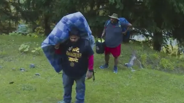 Beware of the Bears!