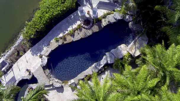 Swimming with the F...