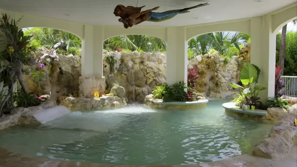 Living Under the Sea