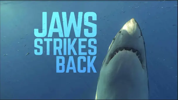Jaws Strikes Back