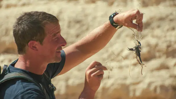 Water and Wilderness