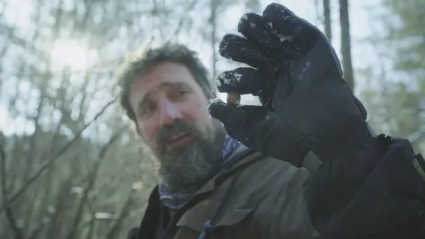 Surviving Changbai ...