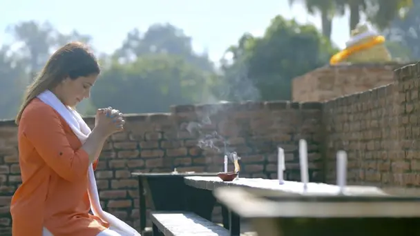 Journey to Enlighte...