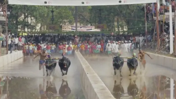 Kambala: Racing the...