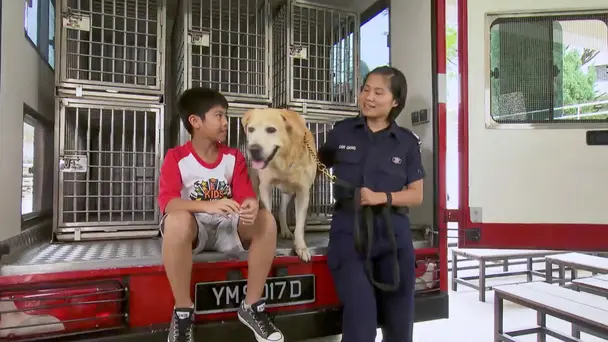 Singapore Civil Def...