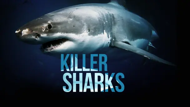 Killer Sharks