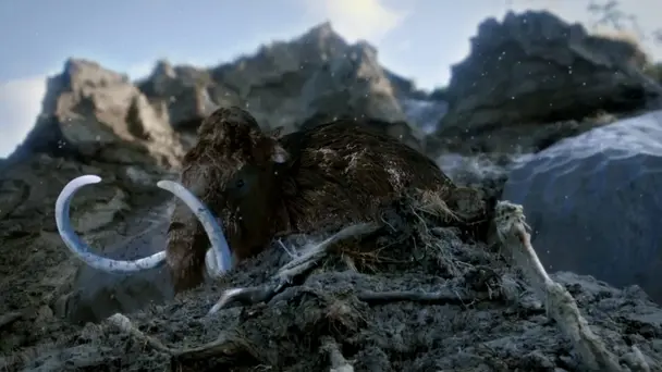 Lost Beasts of the ...