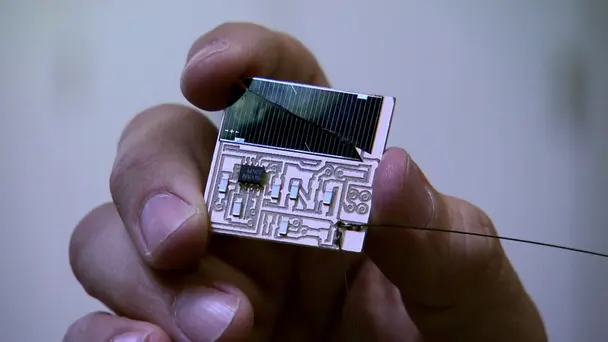 How to Kill an Aste...