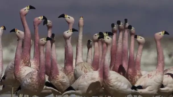 The Power of Numbers