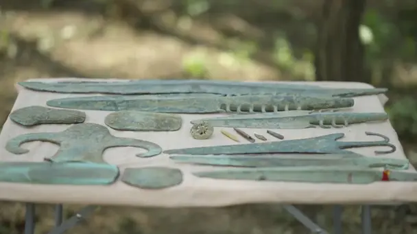 Hunt for the Weapons