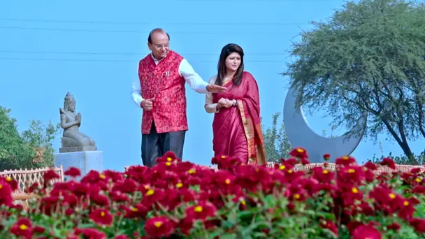 Nature's Revival: D...