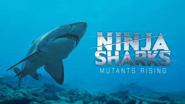 Ninja Sharks 2: Mut...