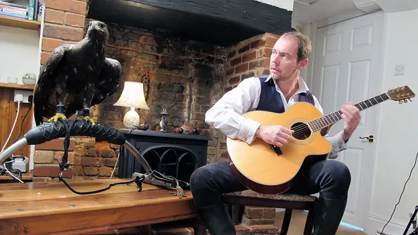 Big Cats & Tiger Sh...