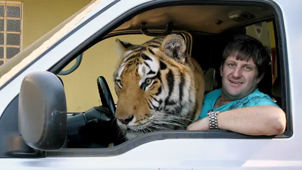 Poodles and Cuddly ...