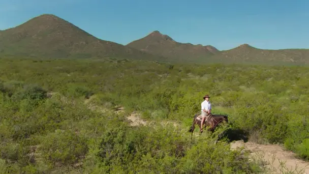 The Mystery of the ...