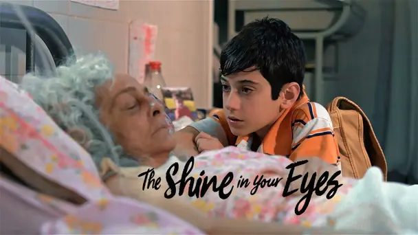 THE SHINE IN YOUR EYES