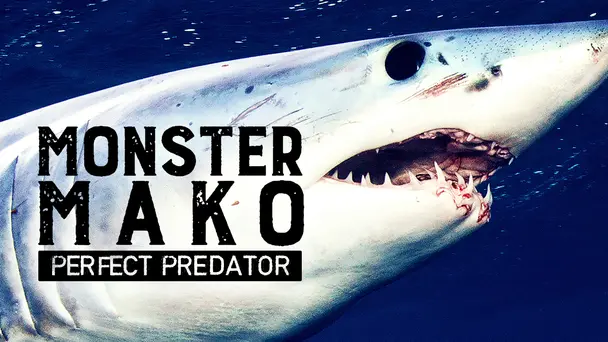 Monster Mako: Perfe...