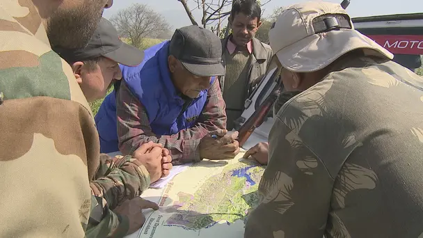 Serial Killer Tiger...