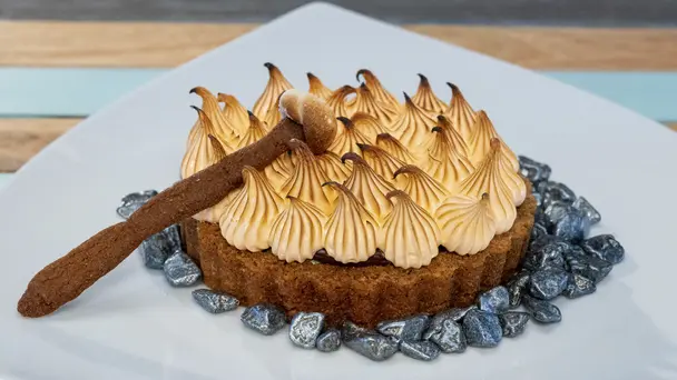 Summer Fun in the Sun