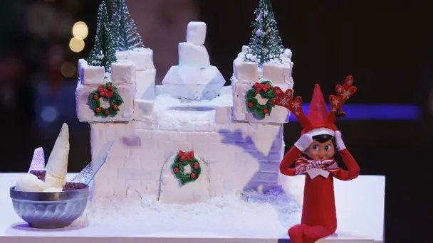 The Reason for the ...