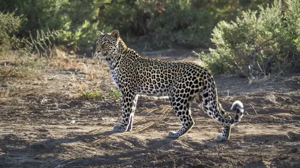 The Hardest Challenge