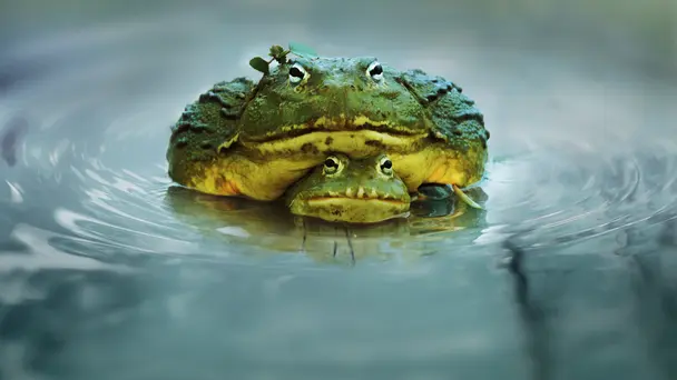 Timing is Everything