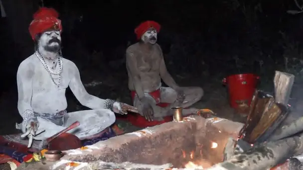 Secret Lives of Agh...