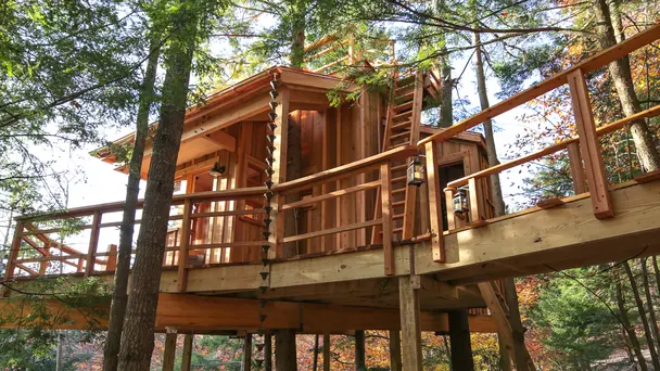 Coolest Treehouse E...