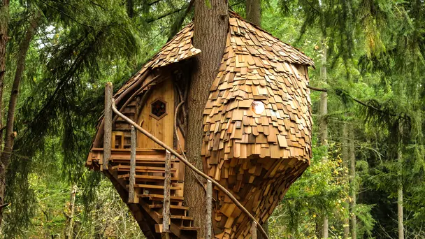 Treehive Beehive