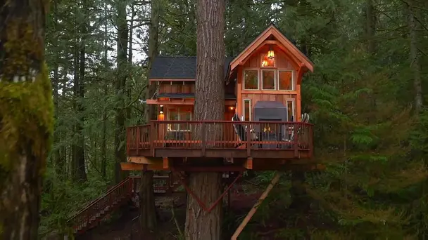 Apres Skihouse Tree...