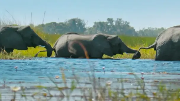 Journey’s Dangerous...