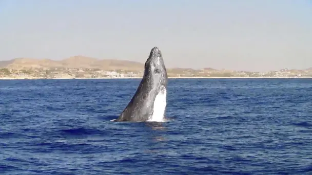 San Pedro and Migriño