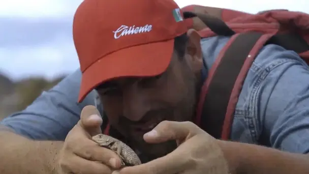 Baja California Pro...