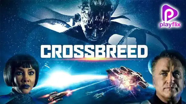 Crossbreed