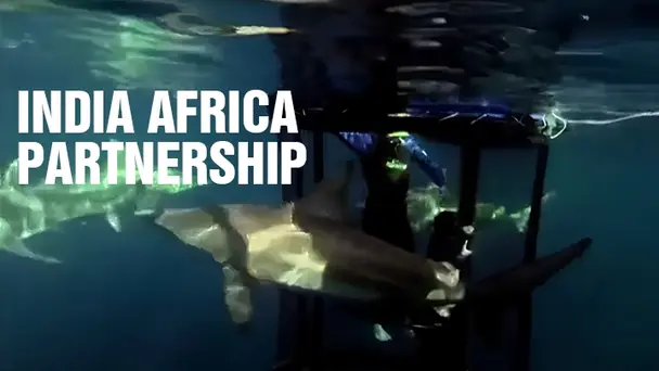 IND AFRICA Partnership For Progress