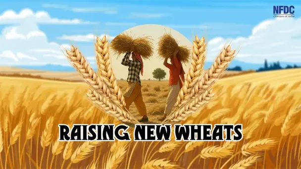 Raising New Wheats
