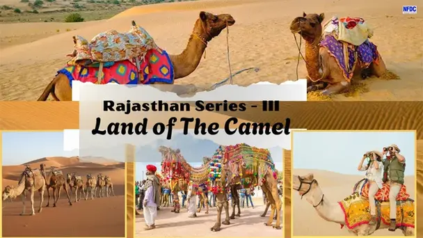 Land of The Camel