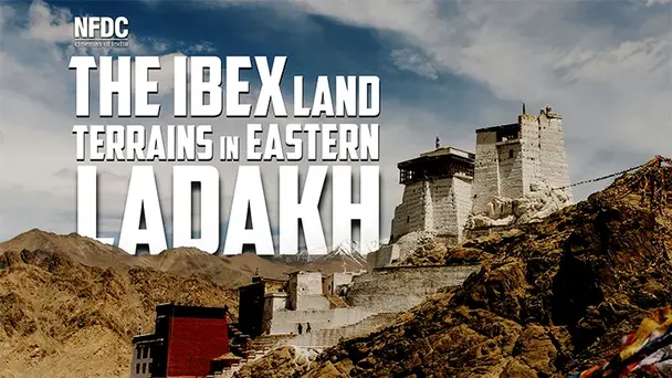 The IBEX Land Terrains in Eastern Ladakh