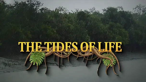 The Tides of Life