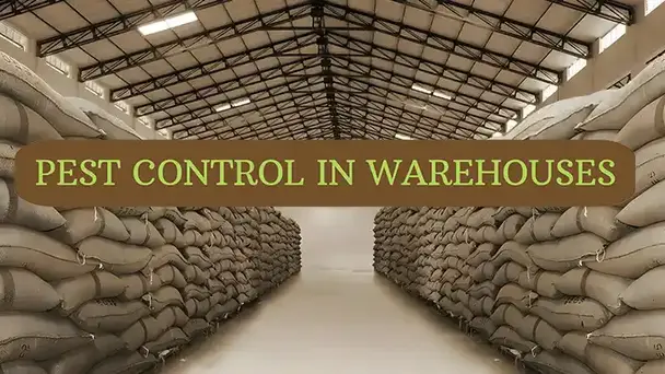 Pest control in warehouses