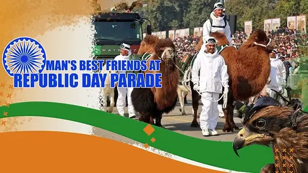 Man's Best Friends at Republic Day Parade